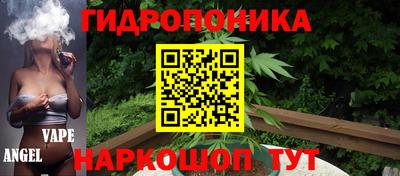 спиды Кимры