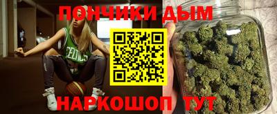 сатива Кингисепп