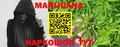 сатива Кингисепп