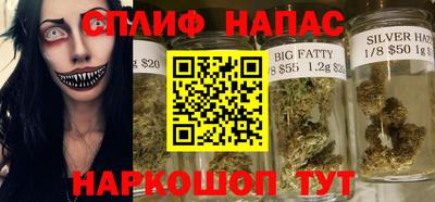 сатива Кингисепп