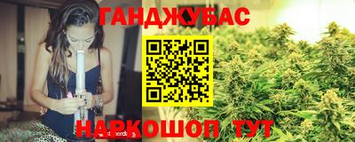 сатива Кингисепп