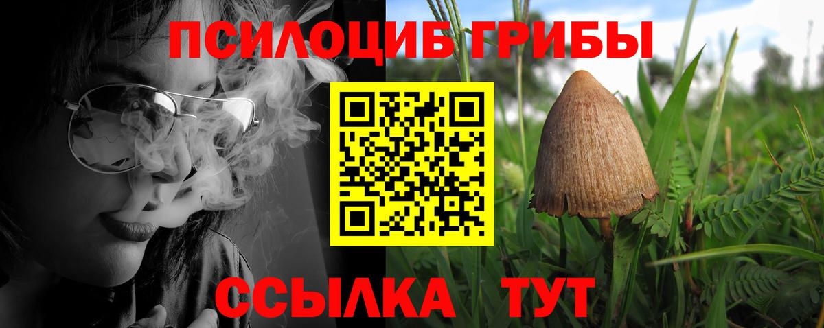 Псилоцибиновые грибы GOLDEN TEACHER  Вход с VPN  Балтийск 